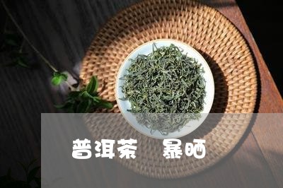 普洱茶 暴晒/2023042889060